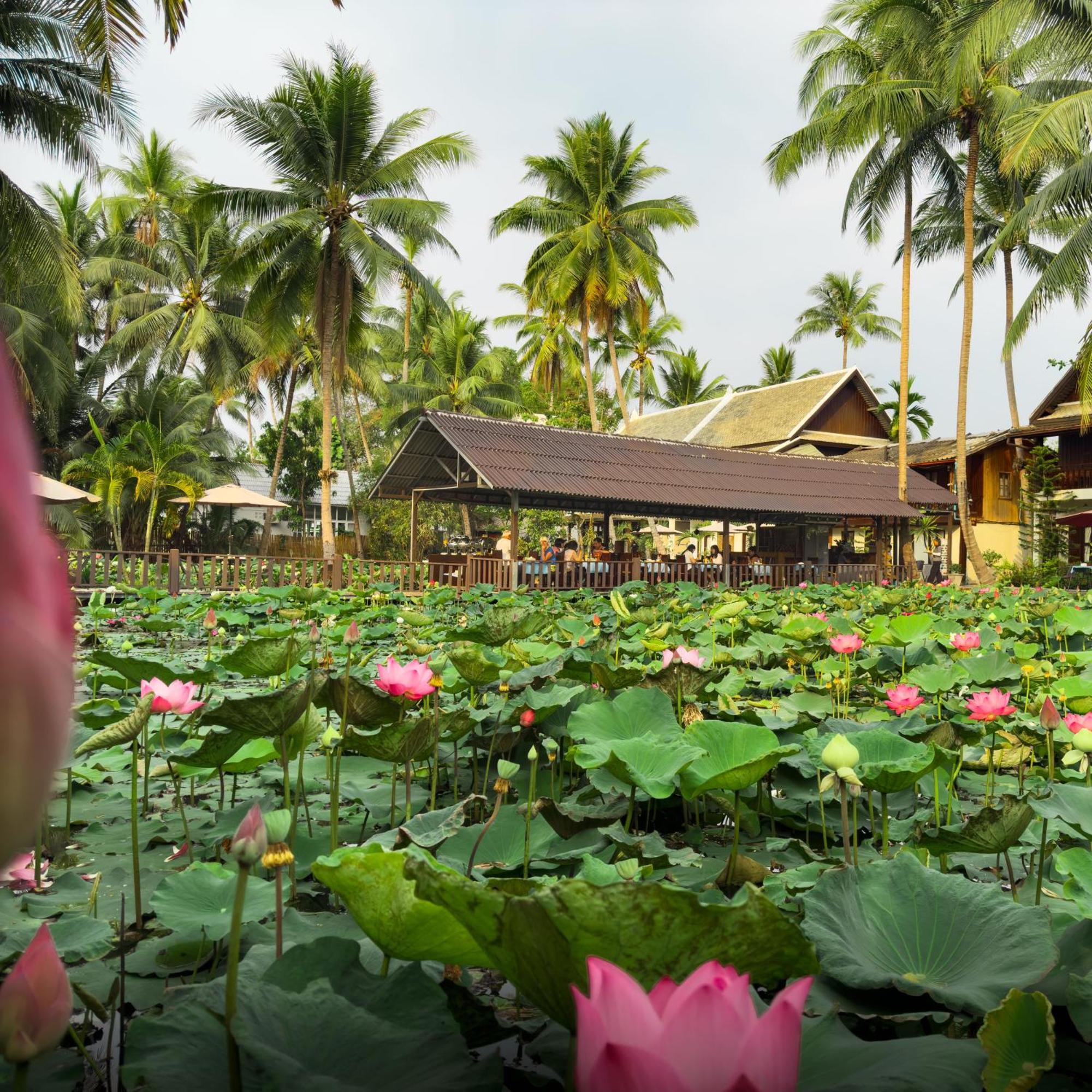 Villa Oasis Luang Prabang Exterior foto